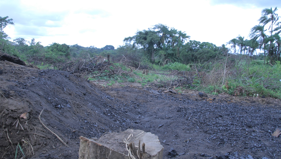 Charcoal production site in the forested region of the Nwoya district in Uganda, East Africa.