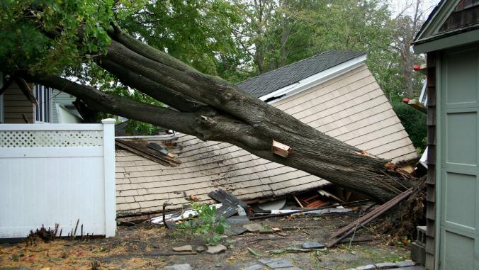 Collapsed tree and house