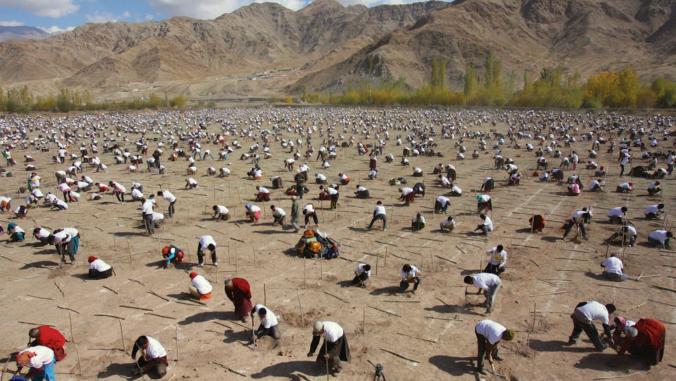 More than 9,000 people in Leh, India planted more than 50,000 tree saplings in under an hour on October 10, 2010.