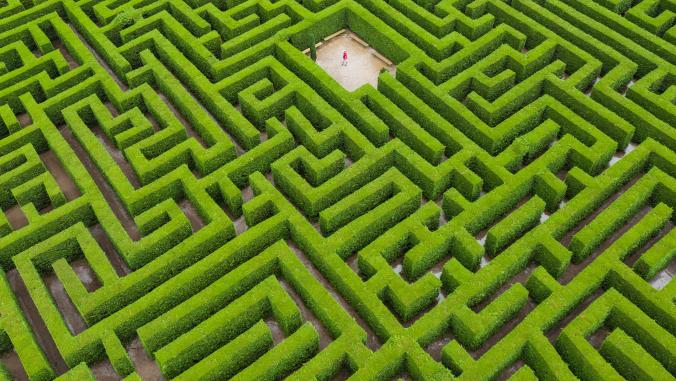 A lonely person standing in the middle of a giant green maze